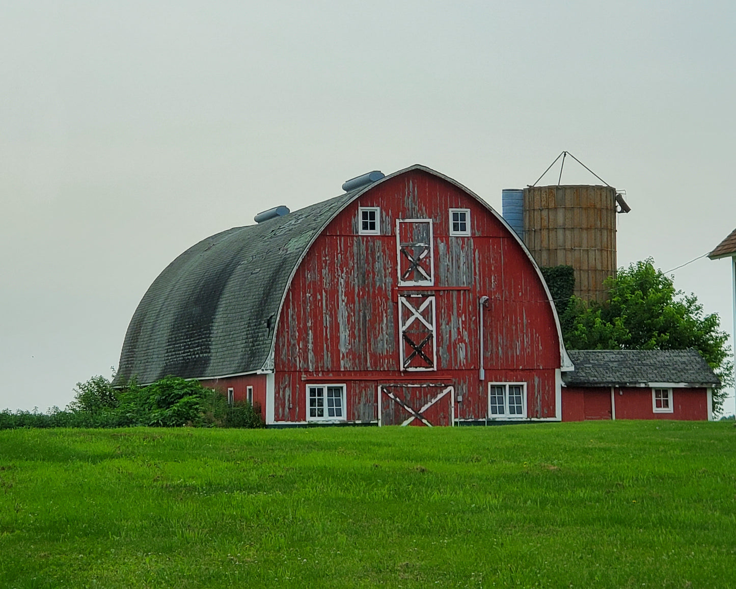 Barn Siding - Wall/Ceiling Cover